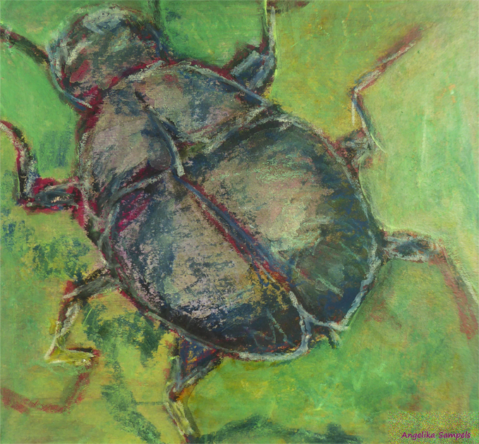 Fauna10-Käfer4
